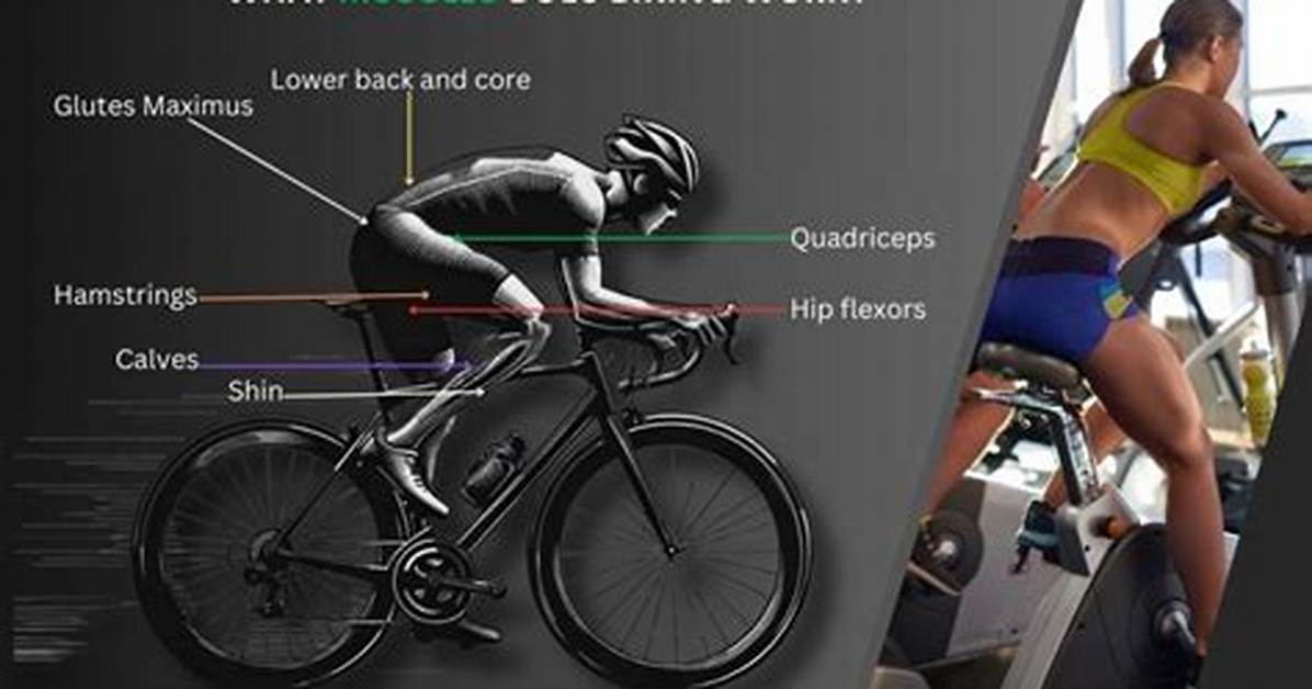 Does Biking Work Your Core?