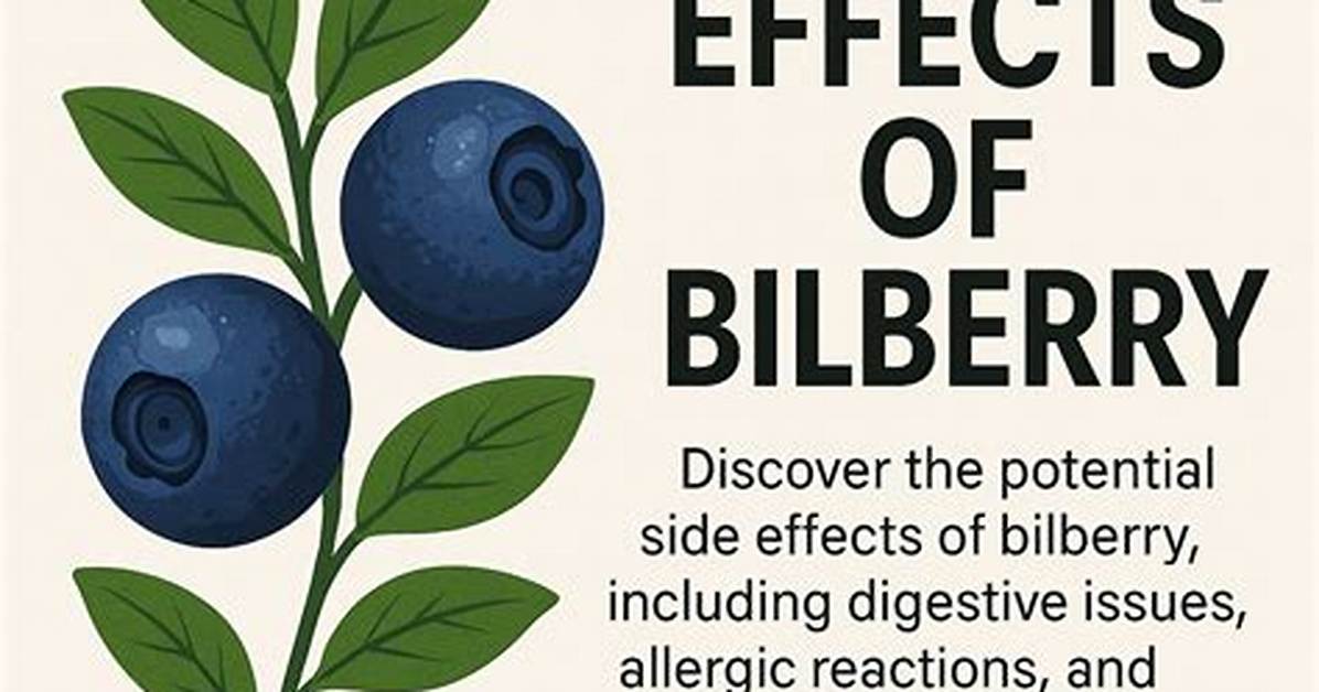 Does Bilberry Have Side Effects?