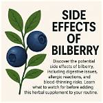 Does Bilberry Have Side Effects?