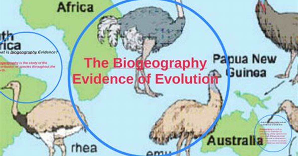 Does Biogeography Support Evolution?