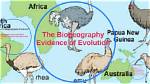 Does Biogeography Support Evolution?