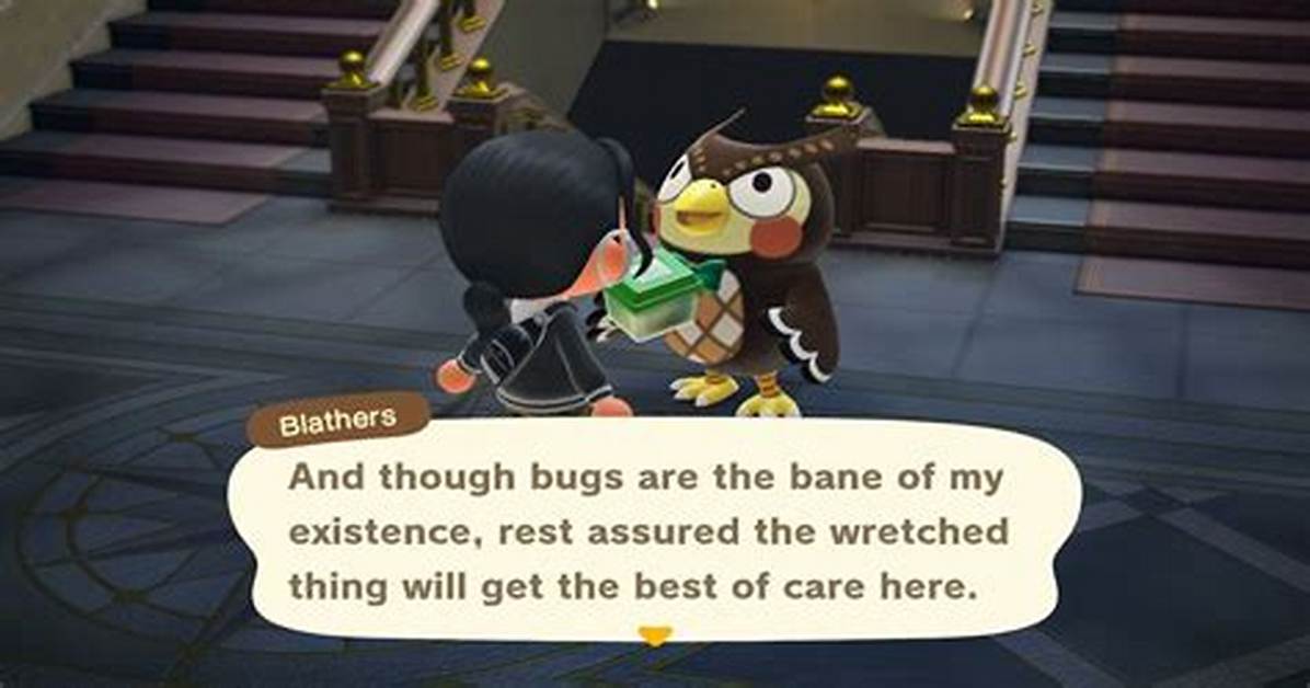 Does Blathers Take Duplicates?