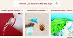 Does Bleach Kill Bed Bugs