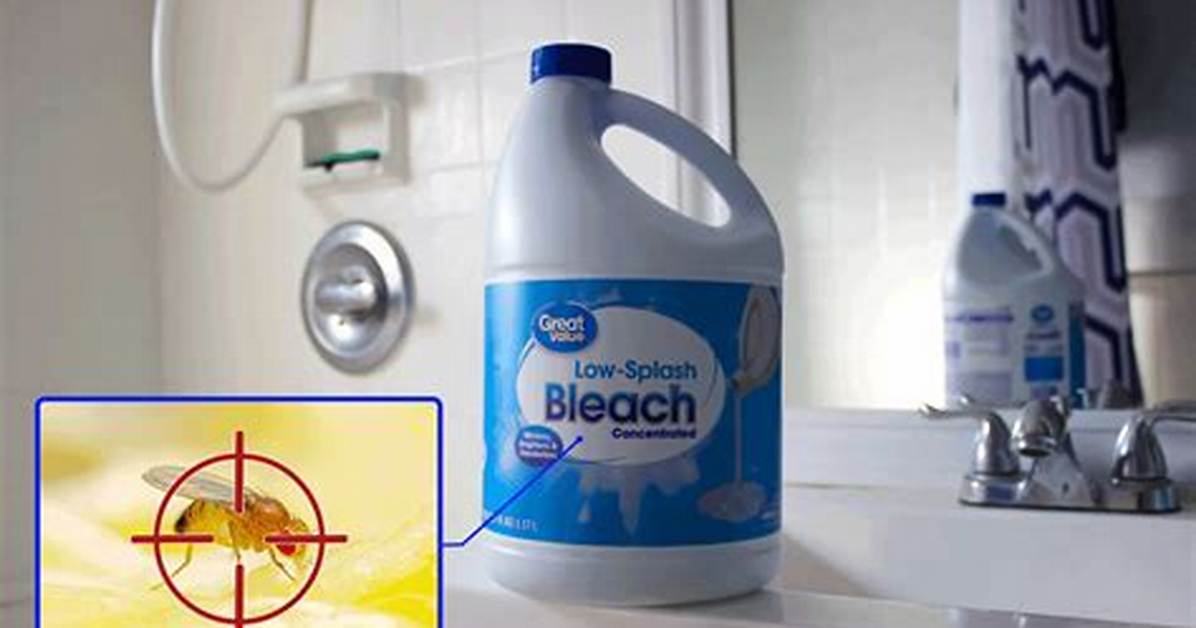 Does Bleach Kill Fruit Flies