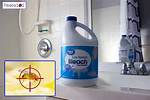 Does Bleach Kill Fruit Flies