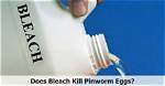 Does Bleach Kill Pinworms?