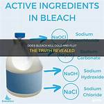 Does Bleach Kill Rid X