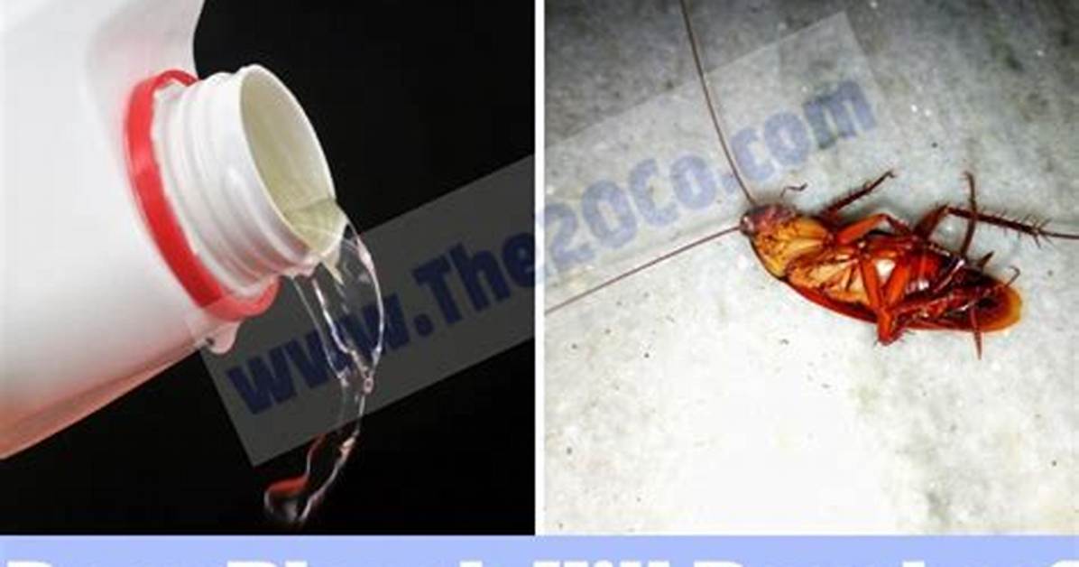 Does Bleach Kill Roaches