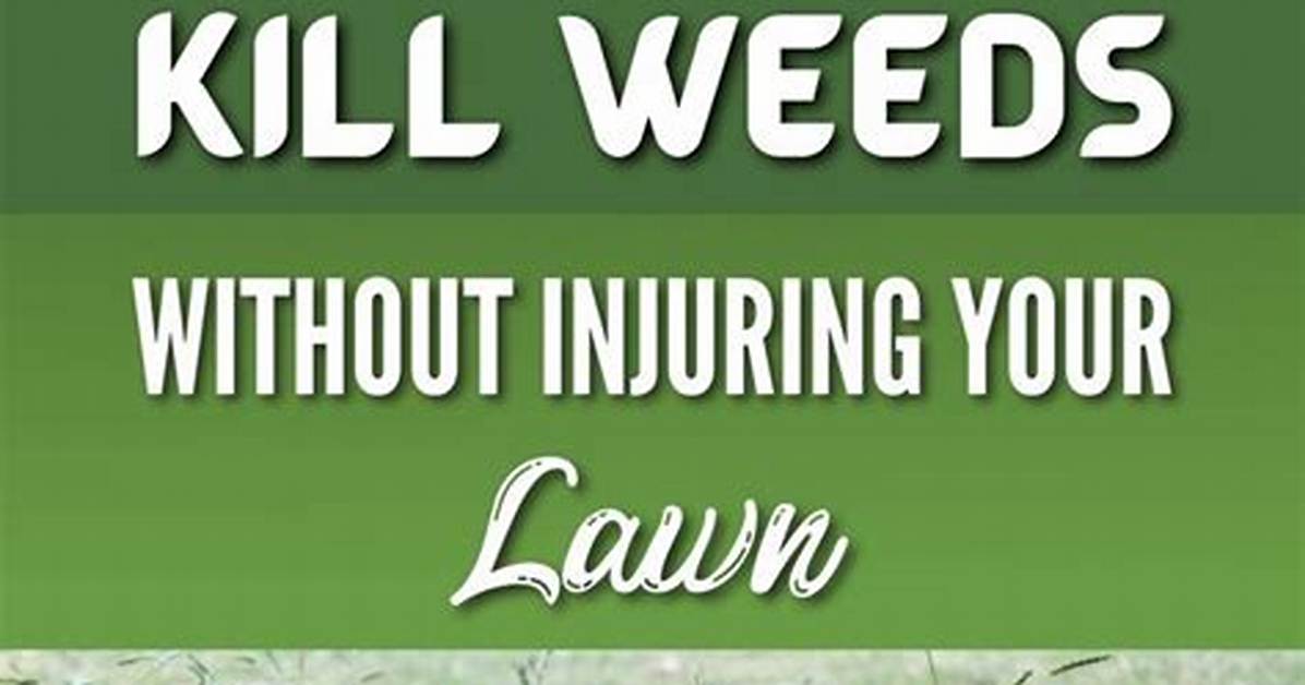 Does Bleach Kill Weeds