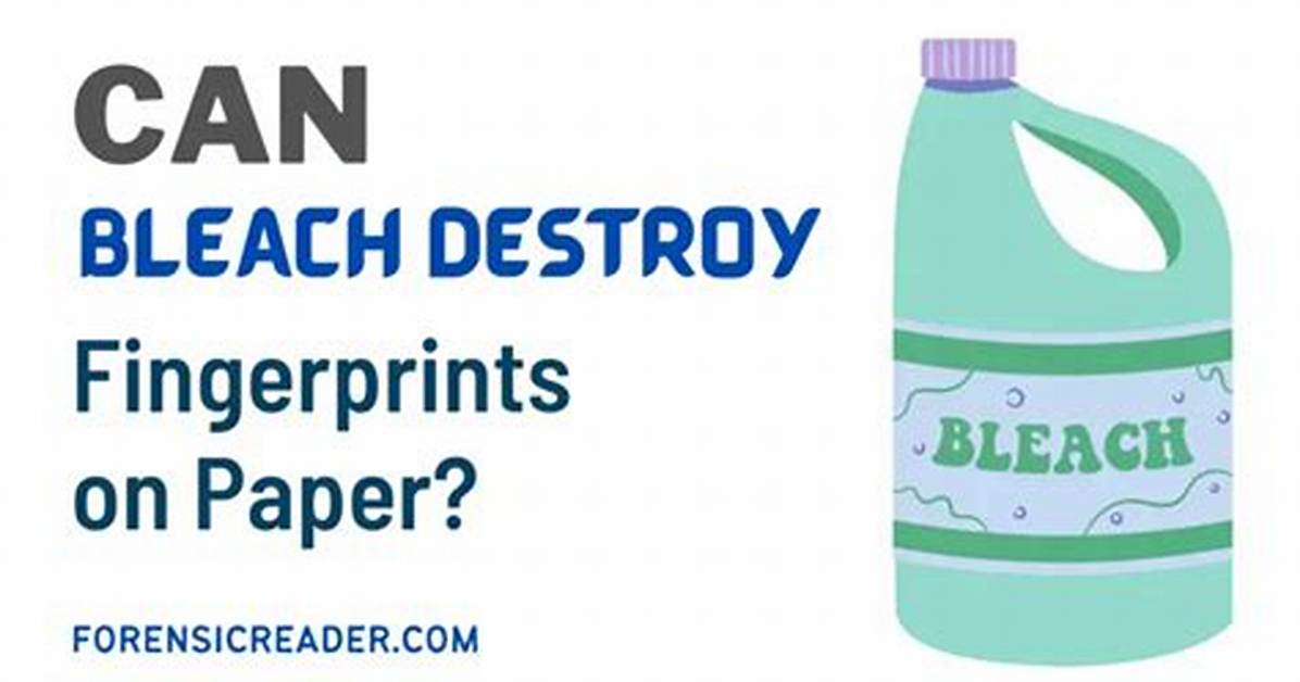Does Bleach Remove Fingerprints?