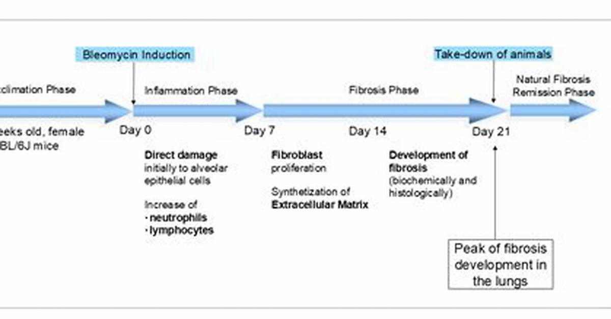 Does Bleomycin Cause Infertility?