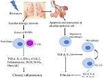 Does Bleomycin Cause Permanent Lung Damage?