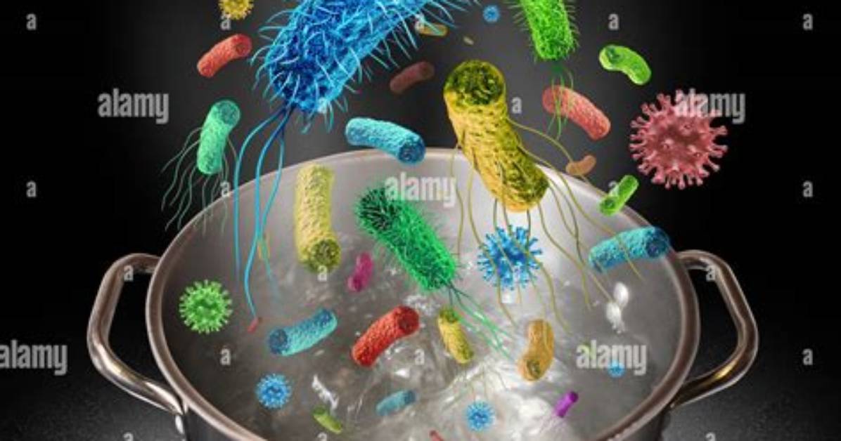 Does Boiling Water Kill Bacteria?