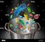 Does Boiling Water Kill Bacteria?