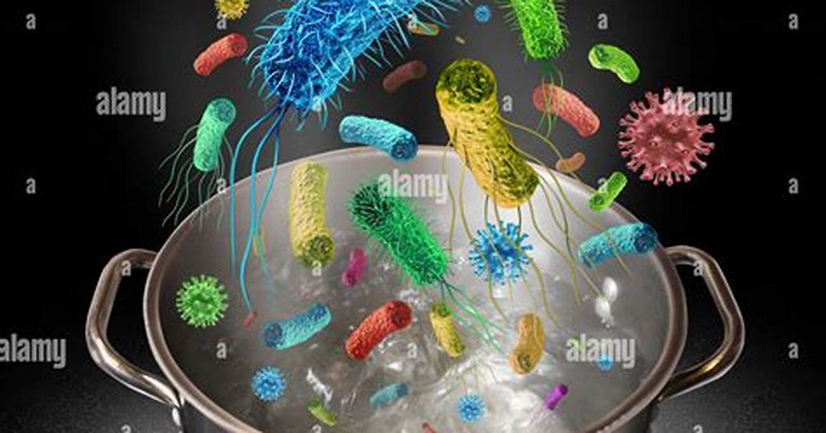 Does Boiling Water Kill Germs?