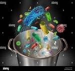 Does Boiling Water Kill Germs?