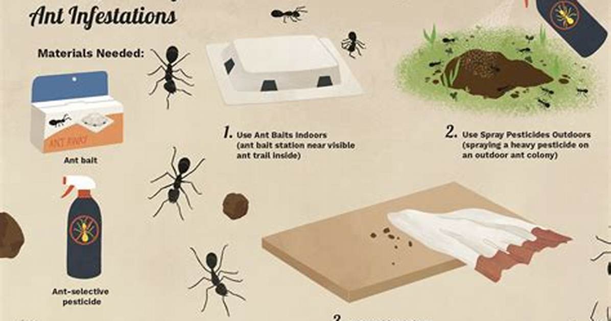 Does Bombing Kill Ants?