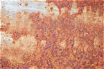 Does Bonderized Metal Rust?