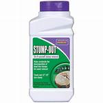 Does Bonide Stump out Work