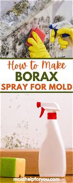 Does Borax Kill Black Mold