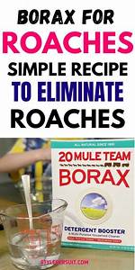 Does Borax Kill Roaches