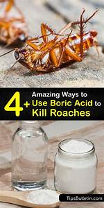 Does Boric Acid Kill Roaches