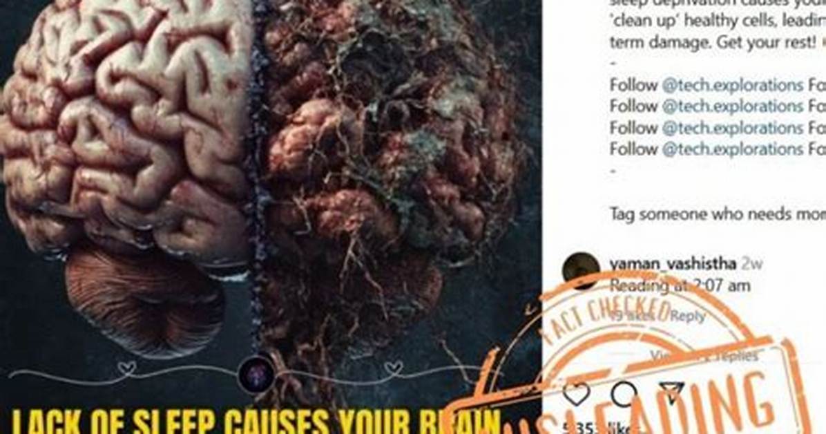 Does Brain Eat Itself?