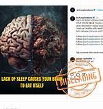 Does Brain Eat Itself?