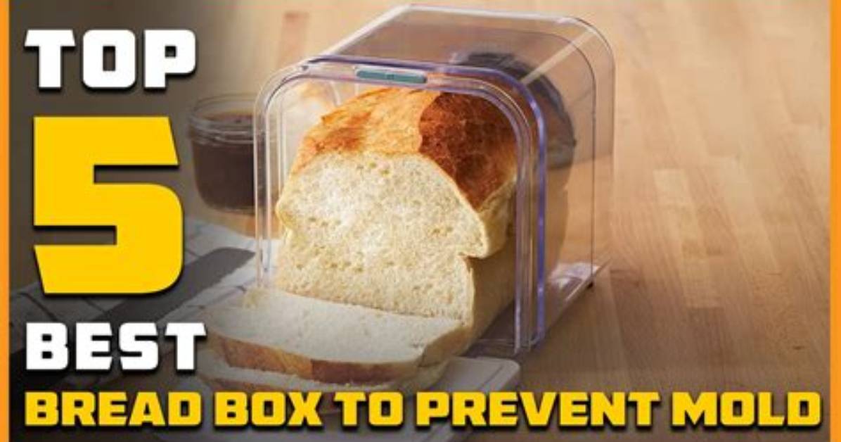 Does Bread Box Prevent Mold?