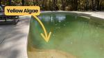 Does Bromine Kill Algae?