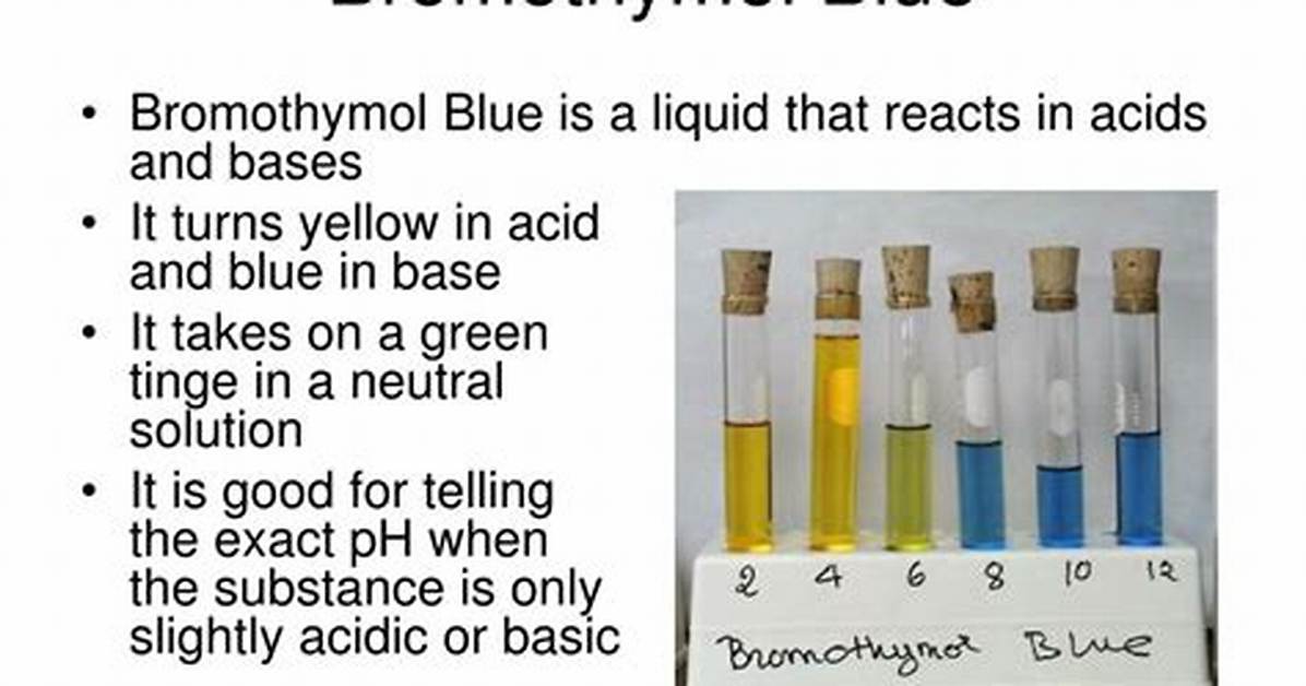 Does Bromothymol Blue React with Acids?