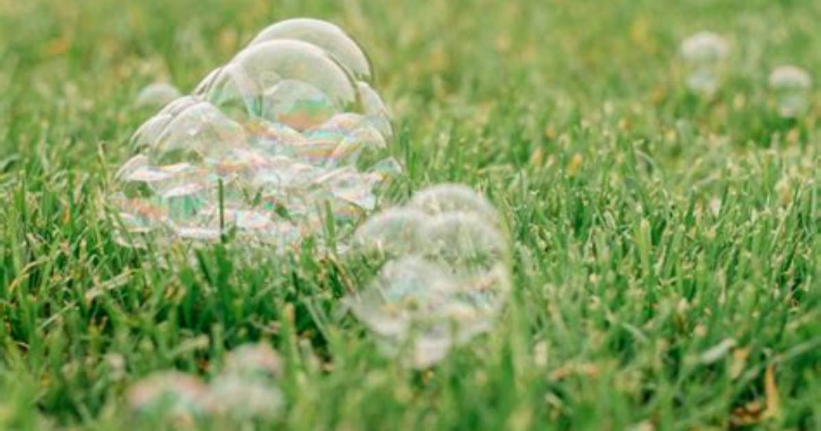 Does Bubble Soap Kill Grass?