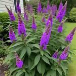 Does Buddleia Self Seed?