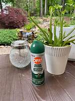 Does Bug Spray Expire