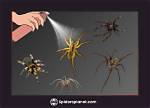 Does Bug Spray Kill Spiders