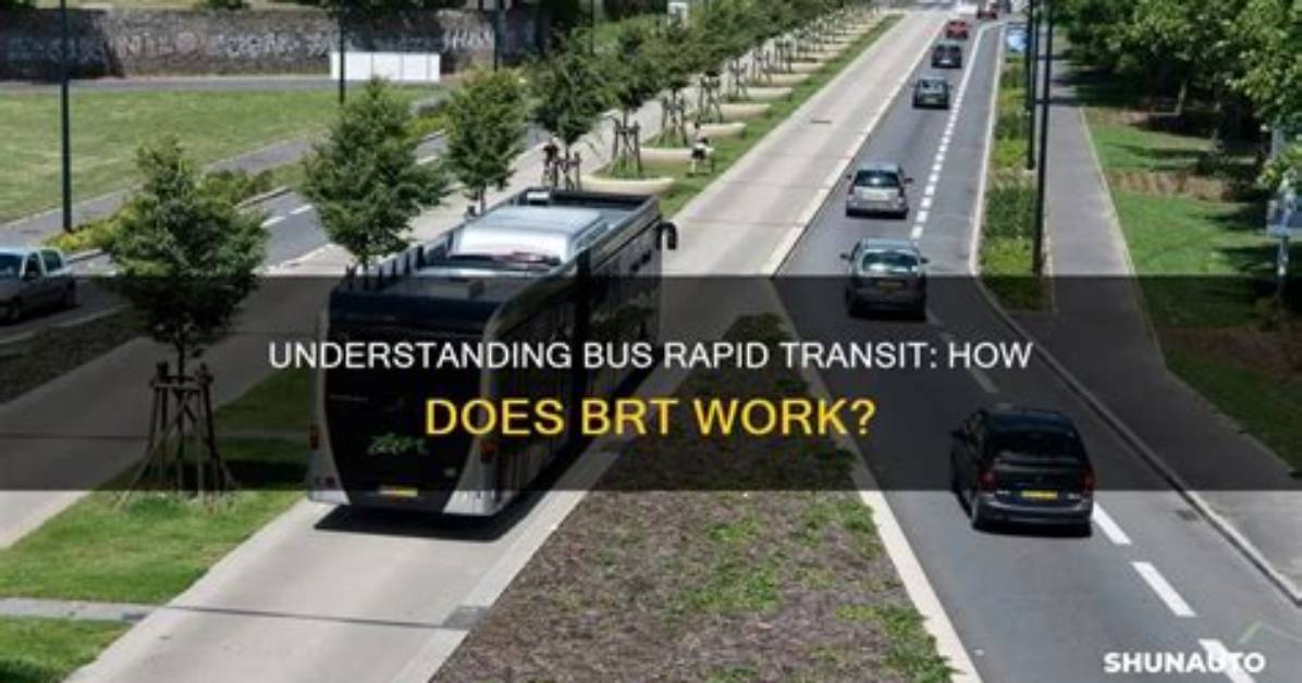 Does Bus Rapid Transit Work?