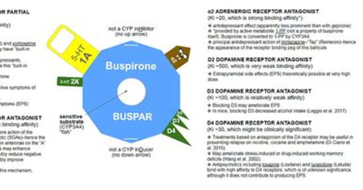 Does Buspar Cause Ed?