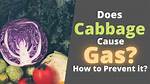 Does Cabbage Cause Gas