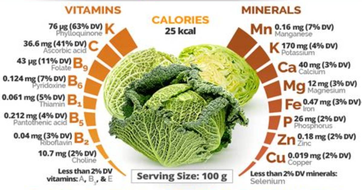 Does Cabbage Have Carbs