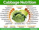 Does Cabbage Have Carbs