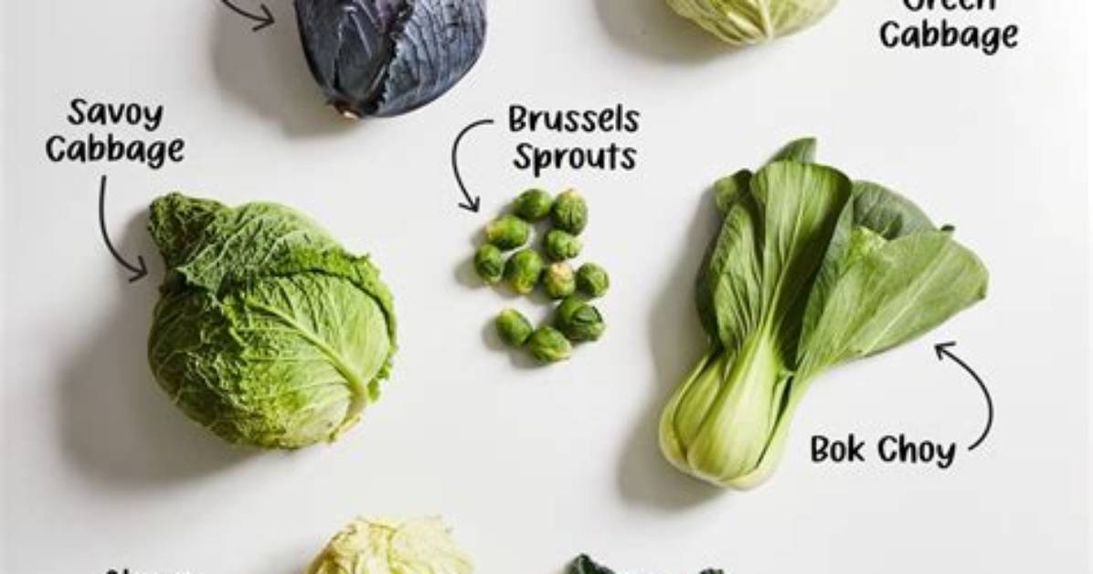 Does Cabbage Mean Pilfer?