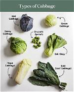 Does Cabbage Mean Pilfer?