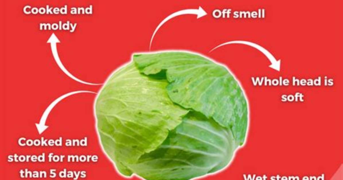 Does Cabbage Smell Bad?