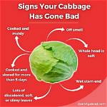 Does Cabbage Smell Bad?