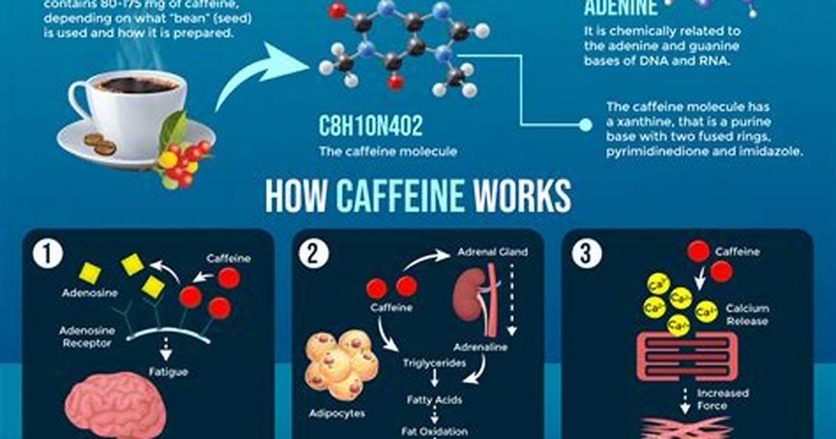 Does Caffeine Affect Marksmanship?