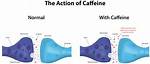 Does Caffeine Block Dao?