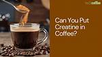 Does Caffeine Stop Creatine Working?