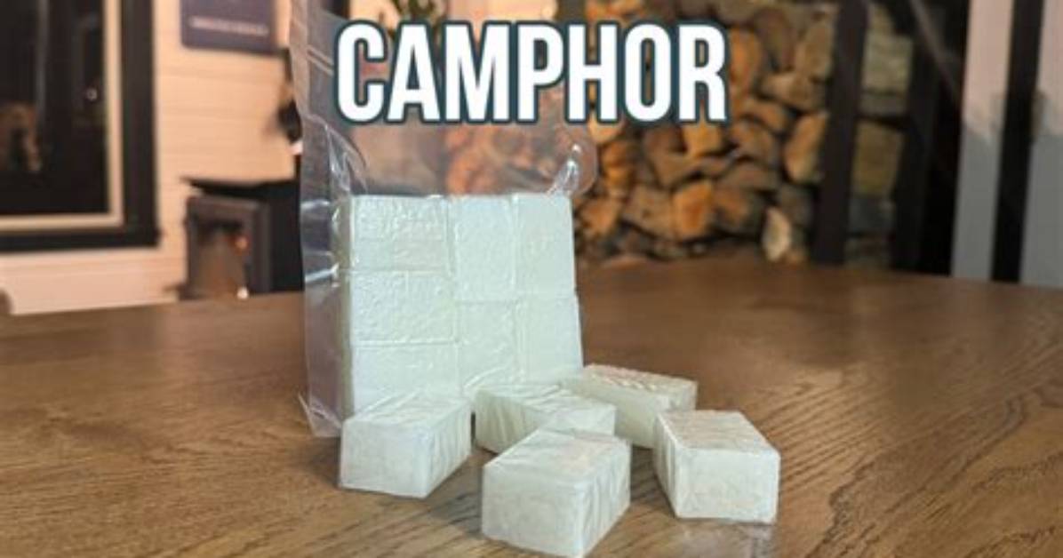 Does Camphor Prevent Rust