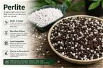 Does Canna Coco Need Perlite?