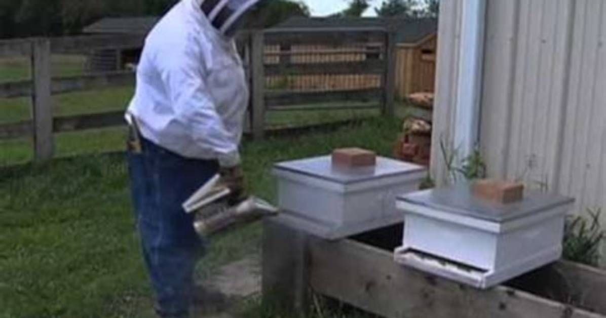 Does Captan Hurt Bees?